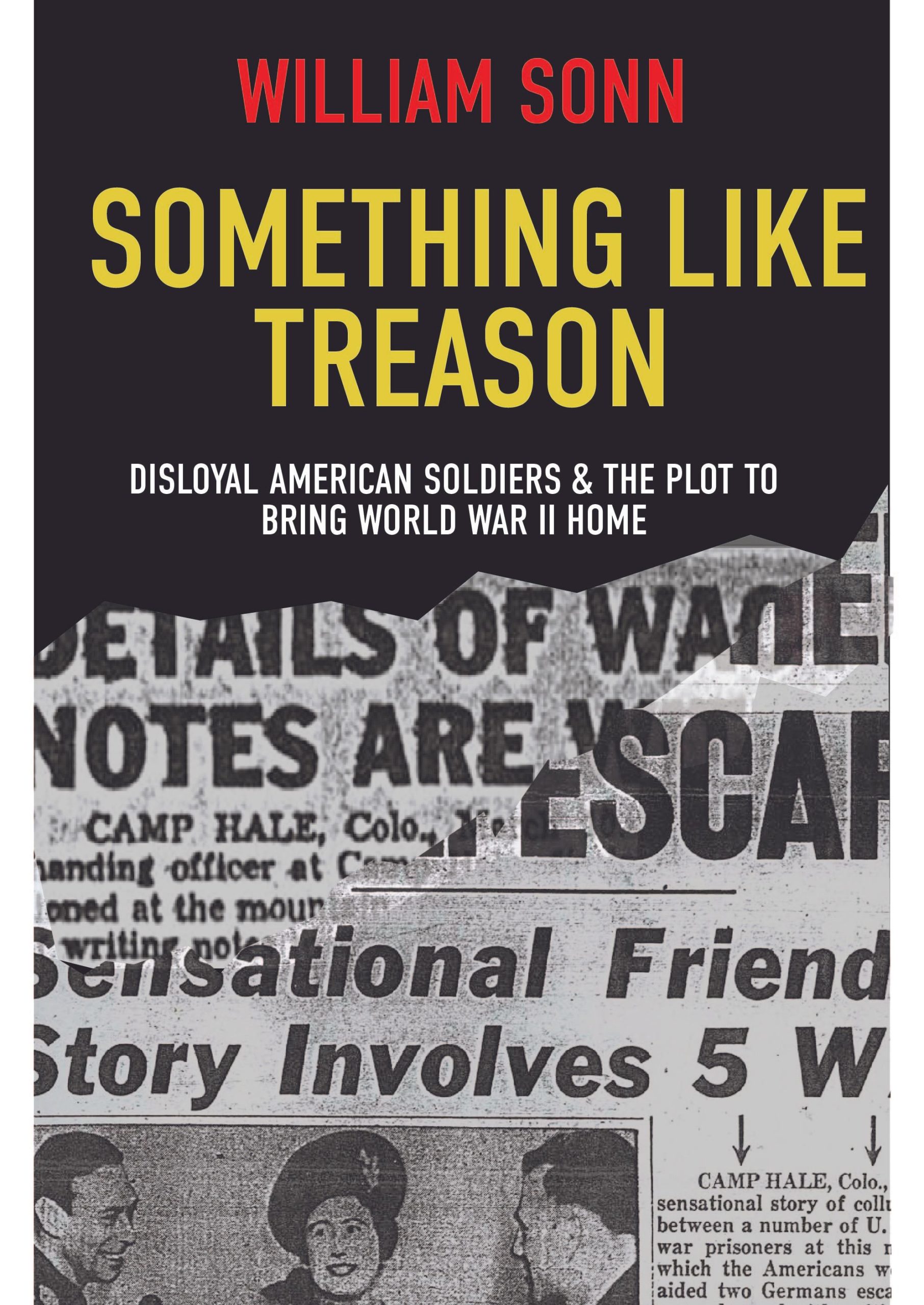 Bill-Sonn-Something-Like-Treason