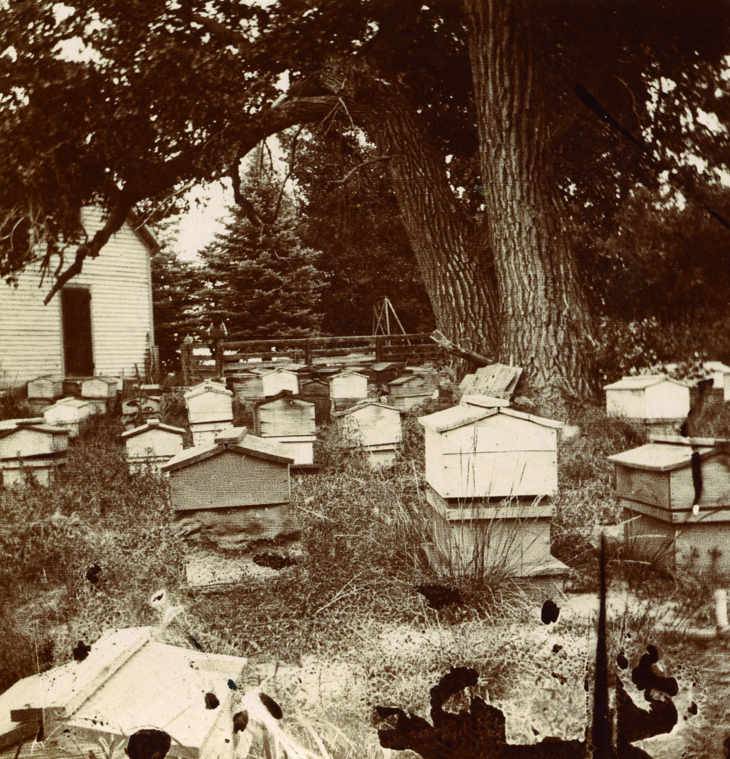 Millie’s Beehives in the 1880s (Four Mile Historic Park, Denver, CO)